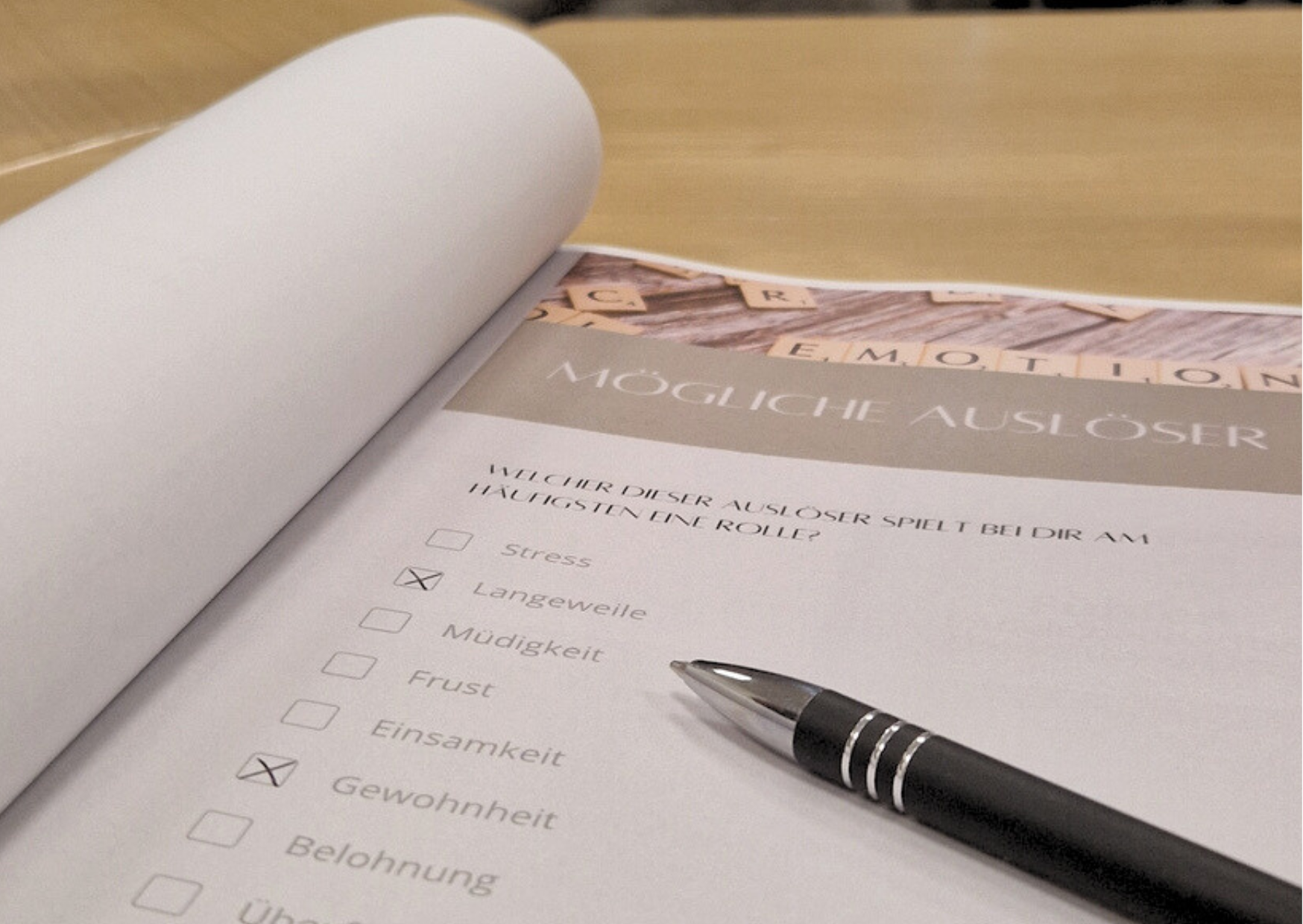 Impuls-Vortrag Emotionales Essen Maren Hoting